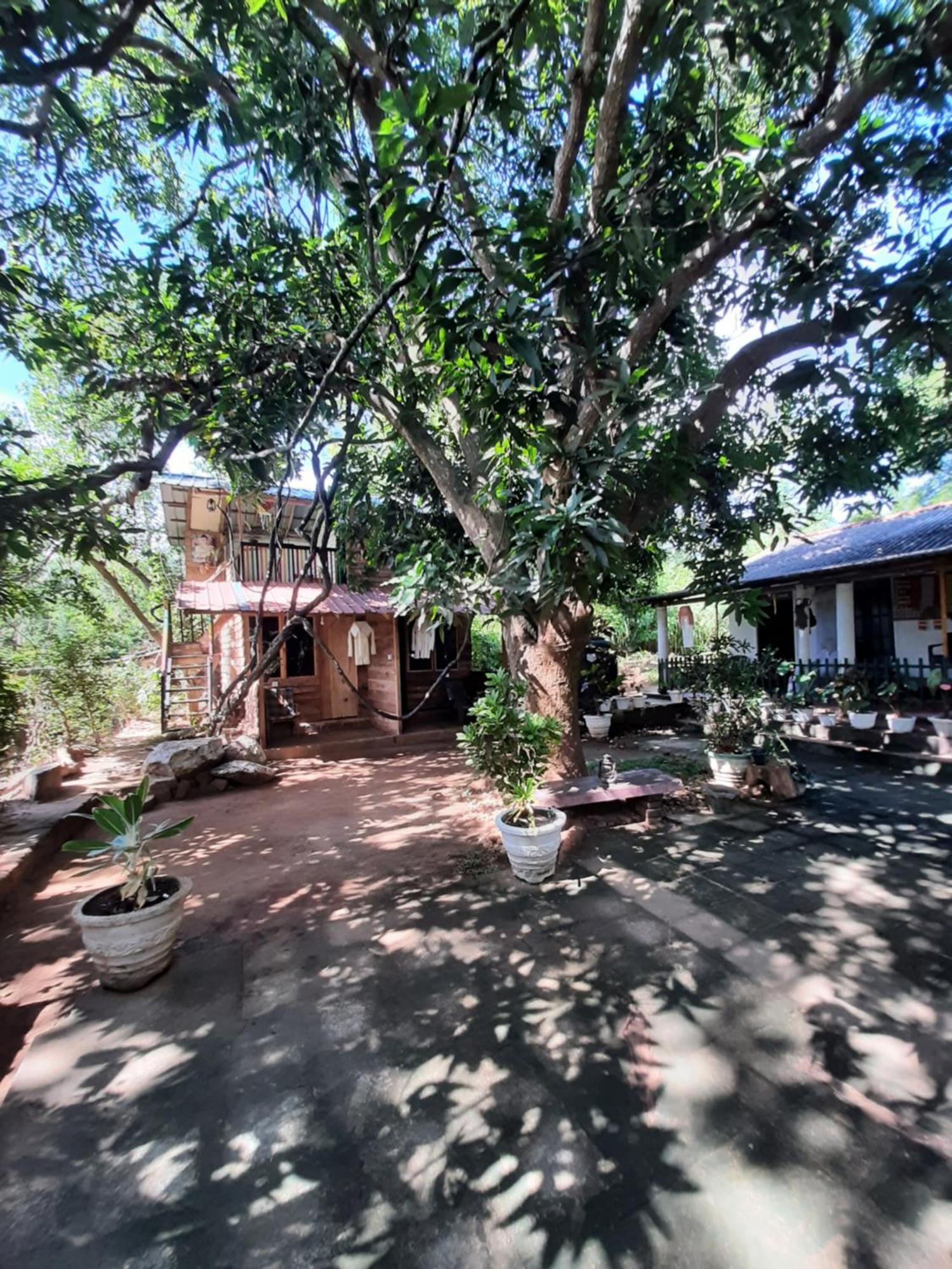 Serenity House In Dambulla Exterior foto